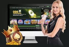 VIP ကစားသမားများ အတွက် Cashback နှင့် Reward ပရိုဂရမ်